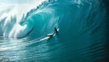 Surfshark Cuts Its Bundle Price by 86 Percent, Making Full-Stack Protection Accessible